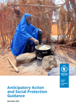 Integrating Anticipatory Action and Social Protection