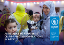 Assistance to Refugees and Crisis-Affected Populations in Egypt