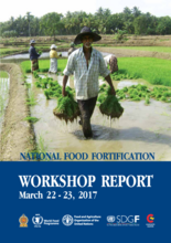 National Food Fortification Workshop Report - March 22-23 2017