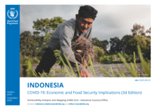 COVID-19 Economic and Food Security Implications for Indonesia - 3rd edition August 2020