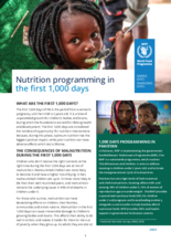 Nutrition programming in the first 1,000 days