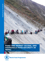 Road and Market Access and Household Food Security in Nepal