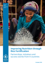 2018 - Improving nutrition through rice fortification