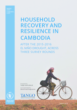 Household recovery and resilience in Cambodia
