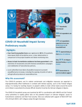WFP Algeria - COVID-19 Household Impact Survey - Preliminary results