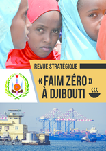 2018 -  Djibouti Country Strategic Review