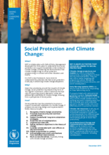 Social Protection and Climate Change