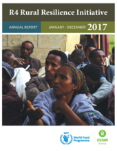 2017 -  R4 Rural Resilience Initiative Annual Report