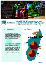 WFP Madagascar - How COVID-19 is threatening food security and nutrition in Madagascar