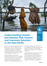 Understanding Climate and Disaster Risk Finance and Insurance Solutions in the Asia Pacific - July 2024 