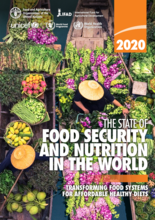 The State of Food Security and Nutrition in the World (SOFI) Report 2020