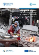 Hunger Hotspots: FAO-WFP early warnings on acute food insecurity, November 2024 to May 2025 Outlook