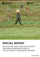 2019 FAO/WFP CROP AND FOOD SECURITY ASSESSMENT MISSION 