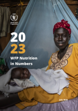 2023 WFP Nutrition in Numbers
