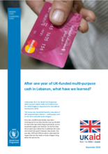 UK-funded multi-purpose cash in Lebanon