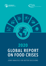 2020 - Global Report on Food Crises