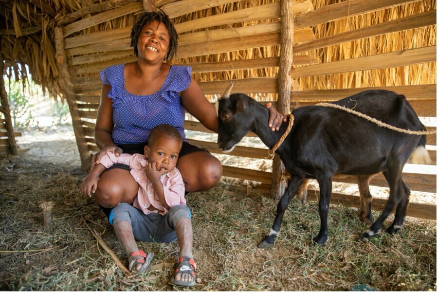 Haiti  Heifer International