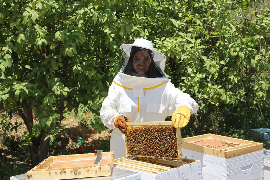 There will be honey': supporting Ukrainian beekeepers in a time of