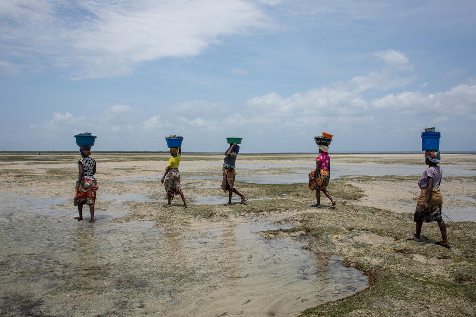 WFP supports women at the crossroads of climate change and hunger ...