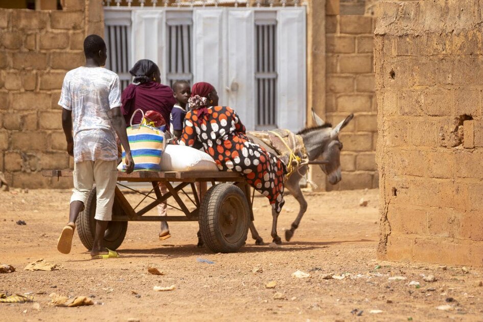 Local agricultural initiatives: sources of resilience in the