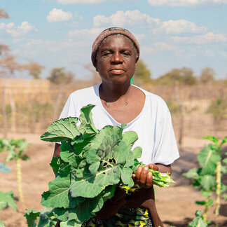 WFP supported smallholder farmer in Zambezi Region. © WFP/Hekami Media 