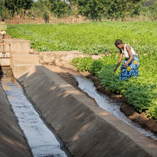 Rosie was badly affected by El Nino-induced droughts but with irrigation she is now growing food again to mitigate the losses. Photo: WFP/Badre Bahaji 