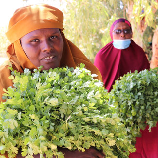 WFP-supported farmers with their produce near Garowe, Somalia.  WFP/Petroc Wilton