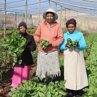 WFP supported smallholder farmers showcasing his vegetable production