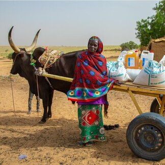 WOman standing next to horse-drawn cart with WFP sacks and containers loaded on it