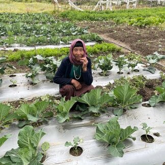 Bhutanese woman in the greenhouse provided by WFP to build resilient food systems