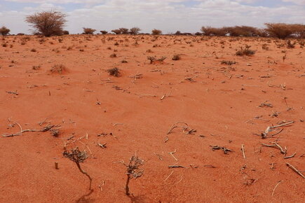 Risk Of Famine Looms In Somalia As Drought Displaces Thousands (For The ...